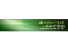 绿盟远程安全评估系统